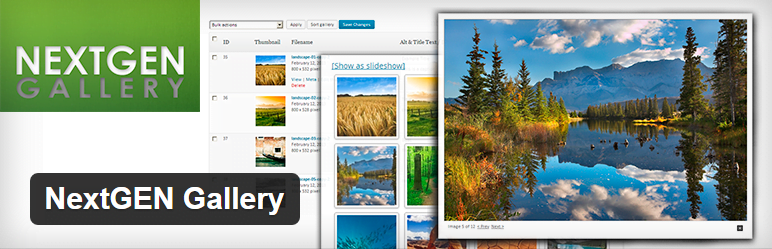 Wordpress NextGEN Gallery Eklentisi