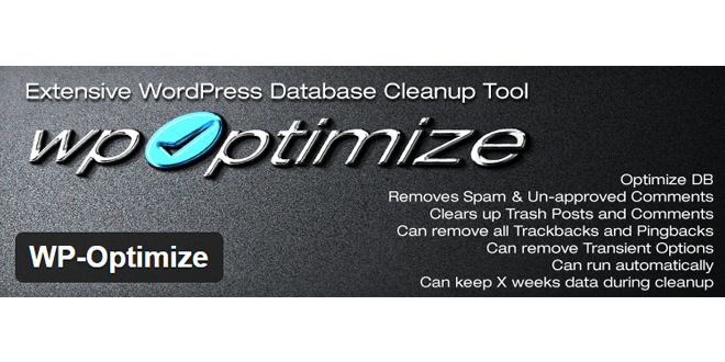 WordPress Optimize Eklentisi ile Maksimum Verimlilik